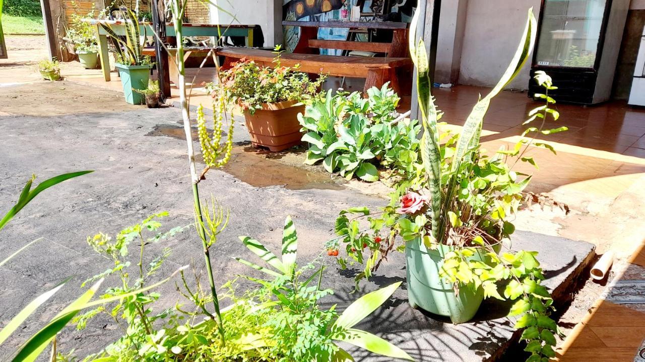 Hostal Sol Iguazu ปูแอร์โตอีกวาซู ภายนอก รูปภาพ