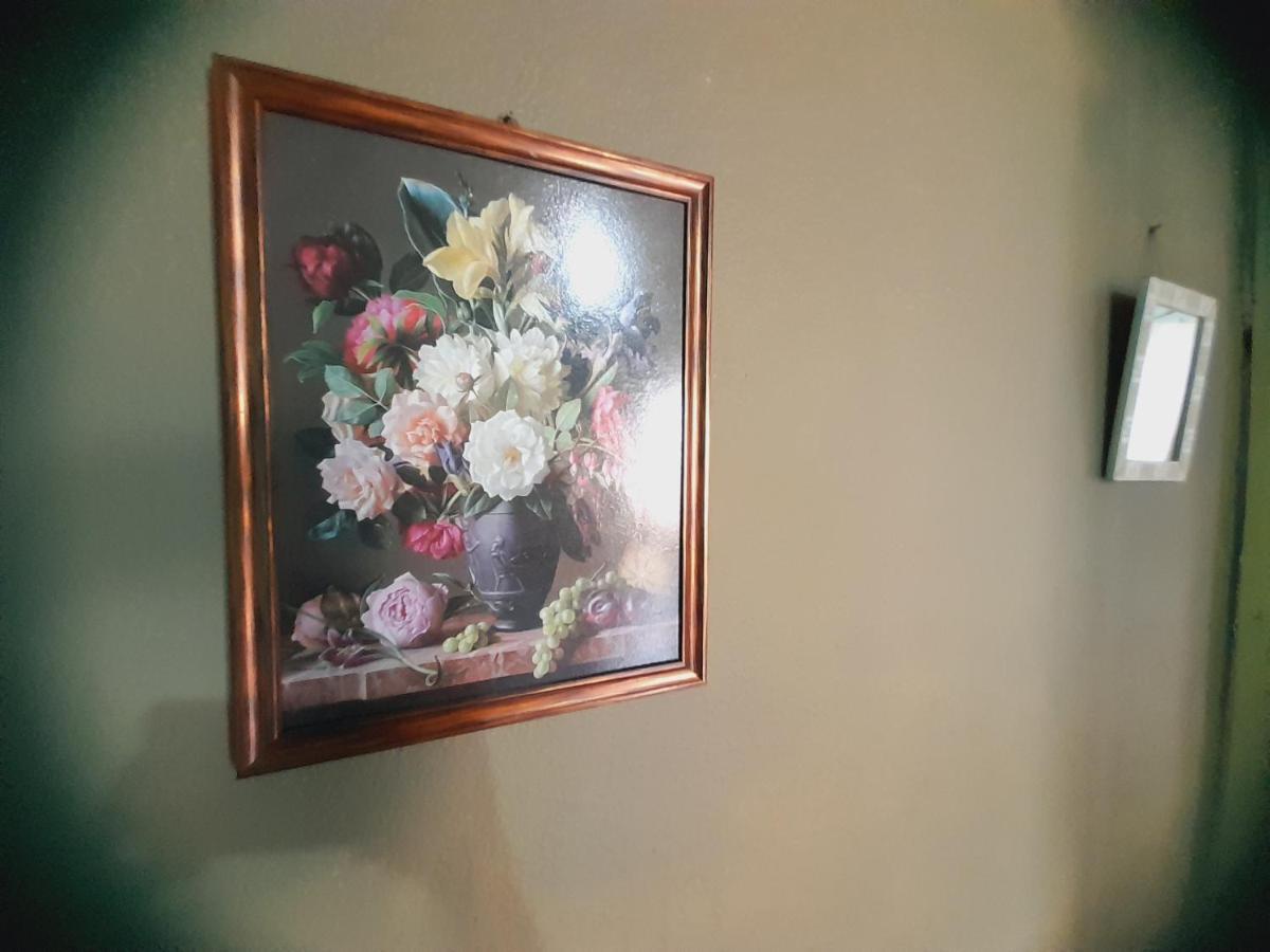 Hostal Sol Iguazu ปูแอร์โตอีกวาซู ภายนอก รูปภาพ